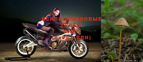 первитин Арсеньев